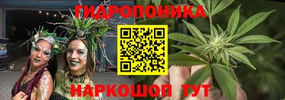 дживик Бийск