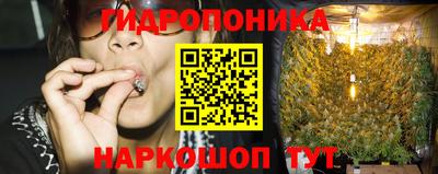 дживик Бийск