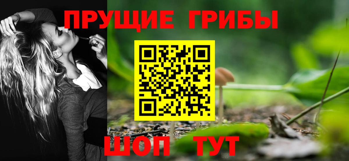 Кандалакша  Галлюциногенные грибы мухоморы  Вход с VPN 