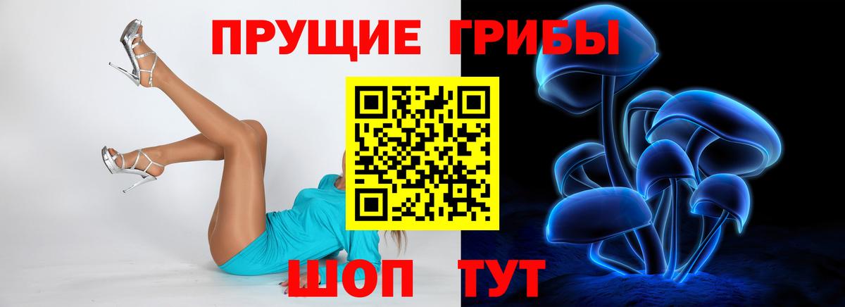 Псилоцибиновые грибы Psilocybe Кандалакша